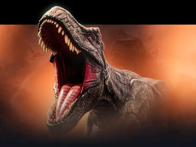 Ark