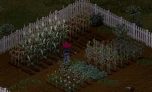 PZ - Farming 1