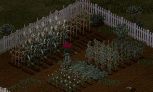 PZ - Farming 1