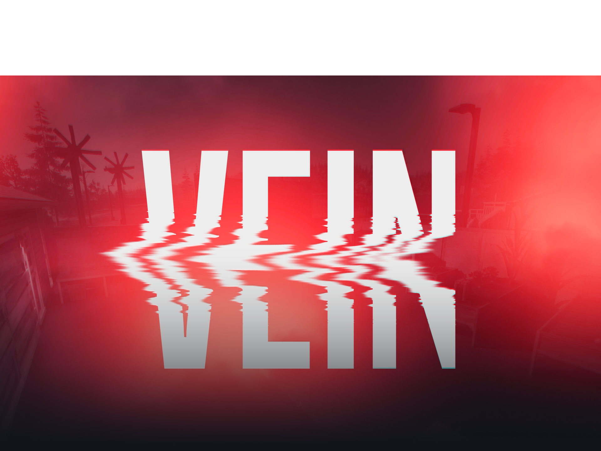 Vein